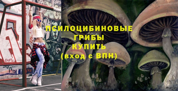 МДПВ Армянск