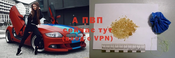 твердый Арсеньев