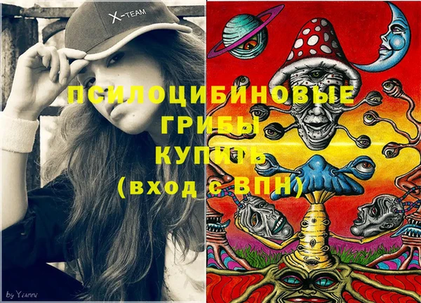 МДПВ Армянск