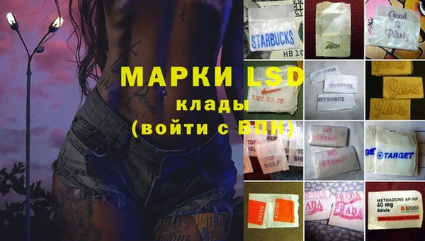 твердый Арсеньев