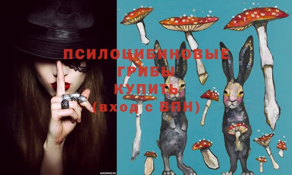 твердый Арсеньев