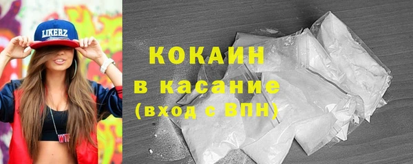 твердый Арсеньев