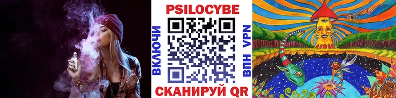 Галлюциногенные грибы Psilocybine cubensis Прохладный