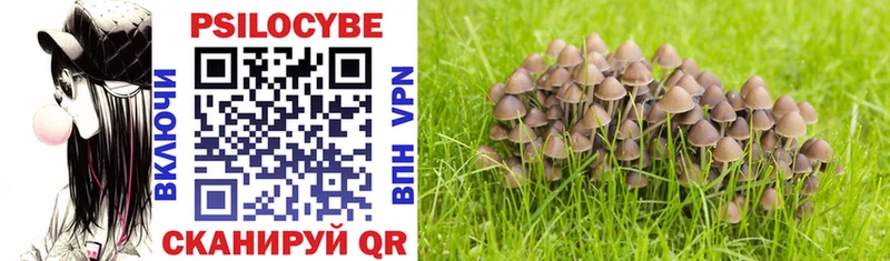 купить наркотик  Прохладный  Псилоцибиновые грибы MAGIC MUSHROOMS 